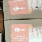 Profile picture of Alexandre Centeleghe